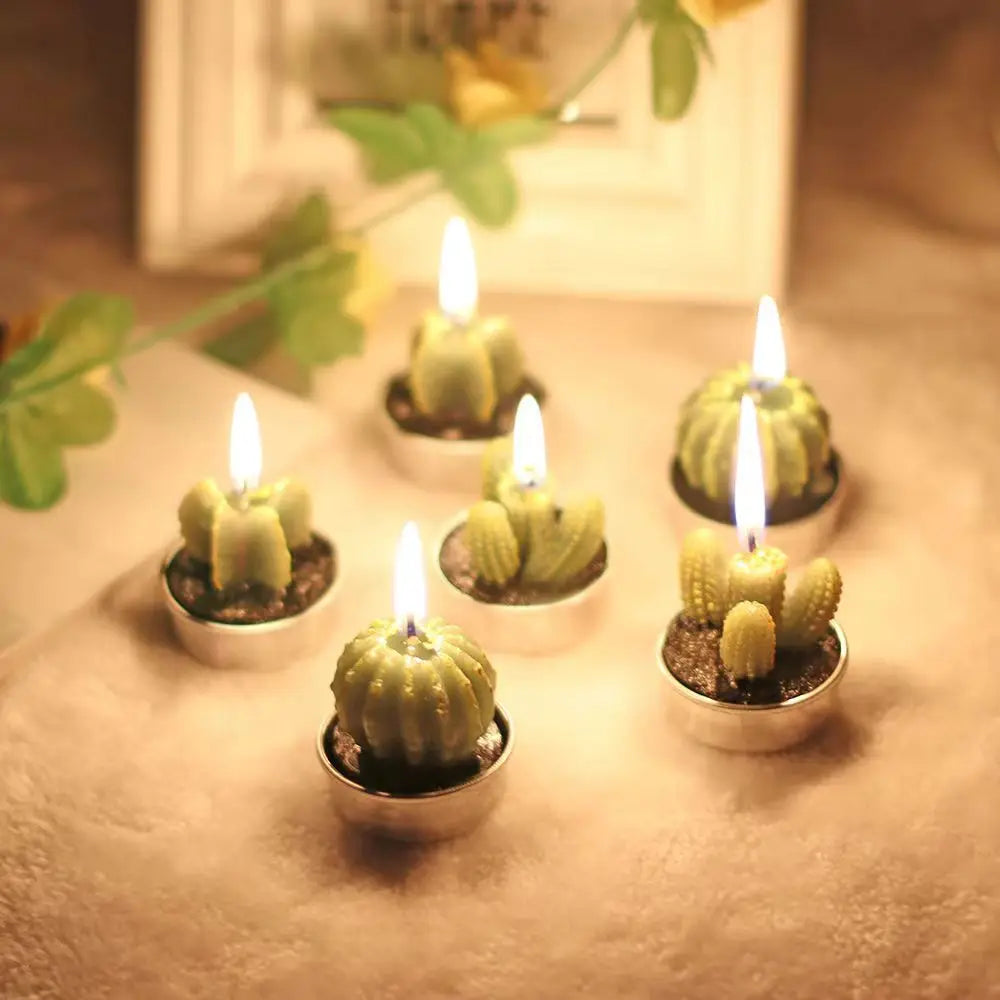 Handmade Botanical Aromatherapy Candles – Rose, Lotus & Cactus