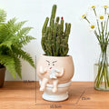Novelty Succulent Planter – Cute Office & Desktop Décor