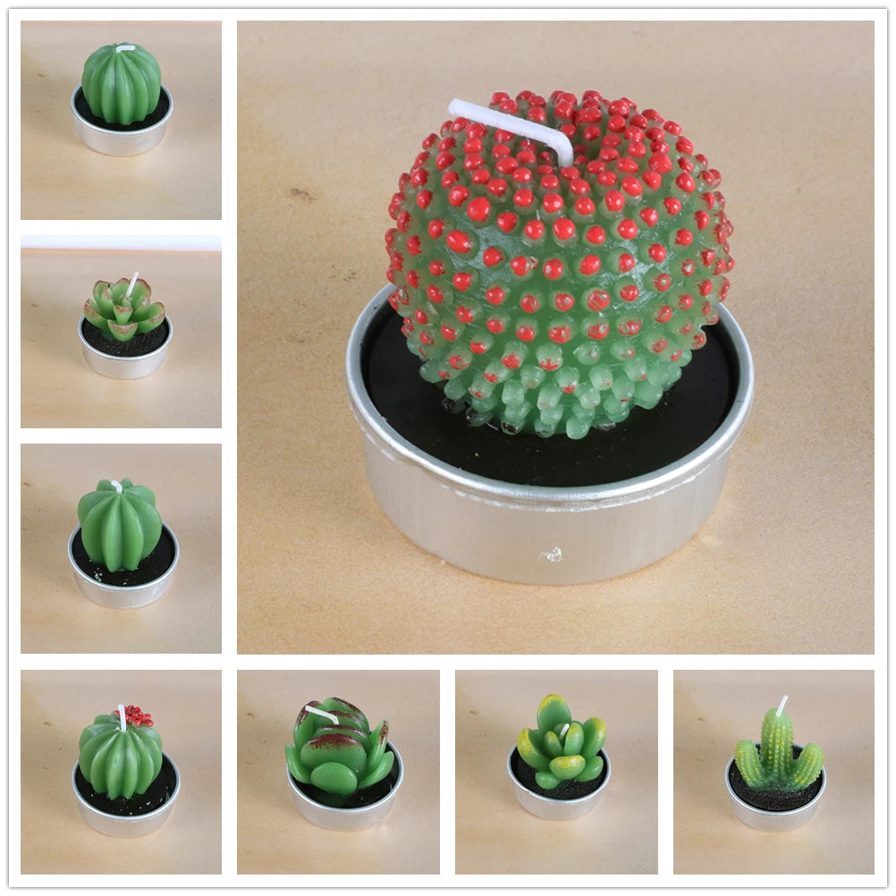 Handmade Botanical Aromatherapy Candles – Rose, Lotus & Cactus