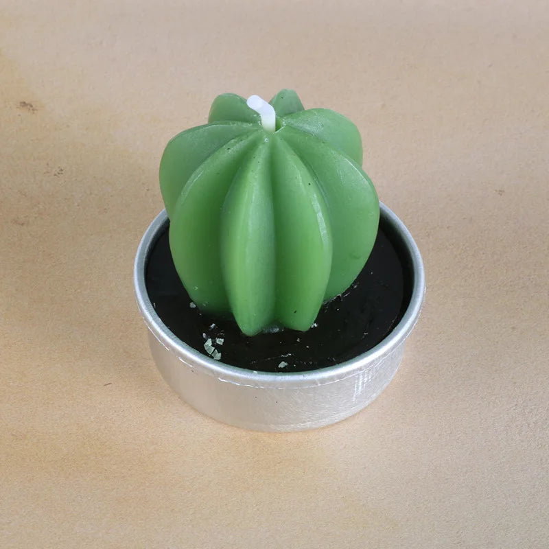 Handmade Botanical Aromatherapy Candles – Rose, Lotus & Cactus
