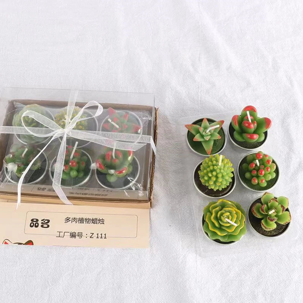 Handmade Botanical Aromatherapy Candles – Rose, Lotus & Cactus