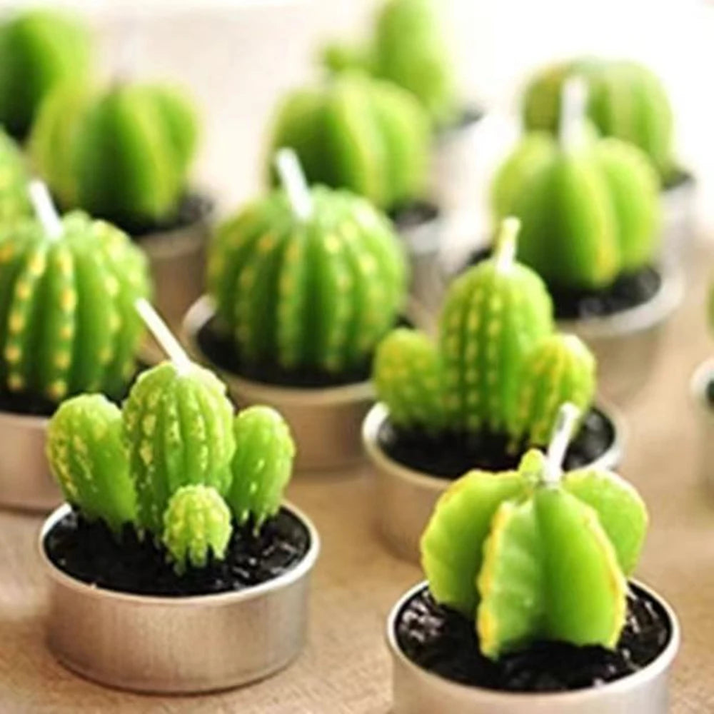 Handmade Botanical Aromatherapy Candles – Rose, Lotus & Cactus