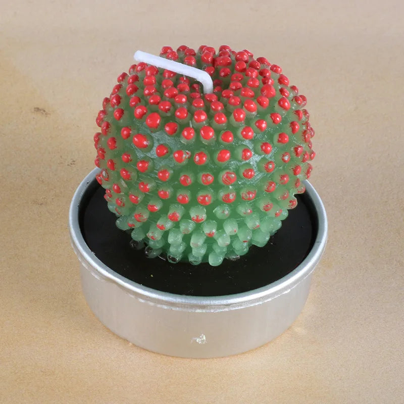 Handmade Botanical Aromatherapy Candles – Rose, Lotus & Cactus