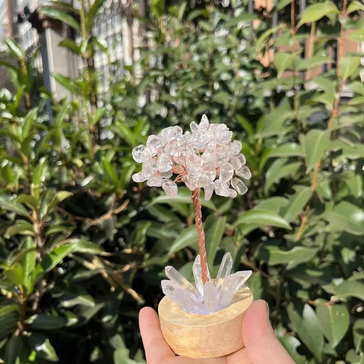 Crystal Money Tree with LED Base – Feng Shui Wealth & Birthday Gift - The Uplift Shop