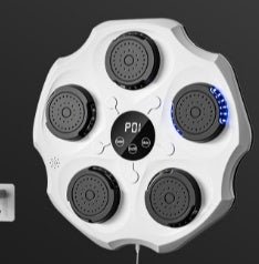 Home Fitness Intelligent Training Music Boxing Wall Target - The Uplift Shop
