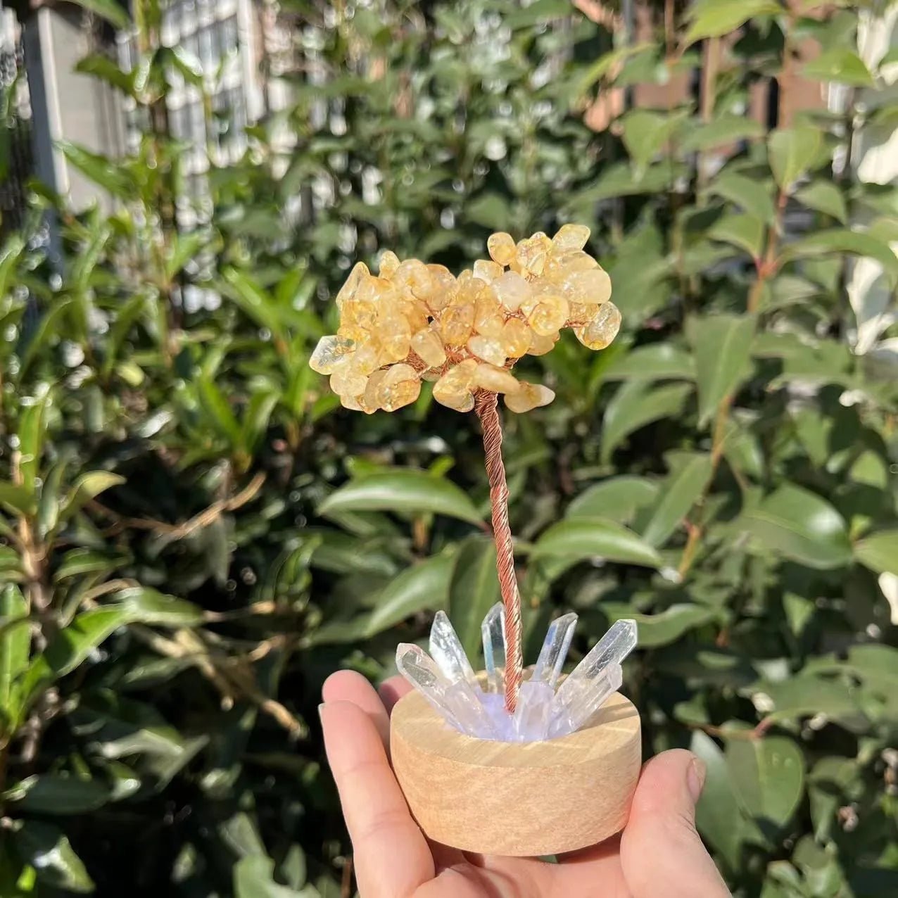 Crystal Money Tree with LED Base – Feng Shui Wealth & Birthday Gift - The Uplift Shop