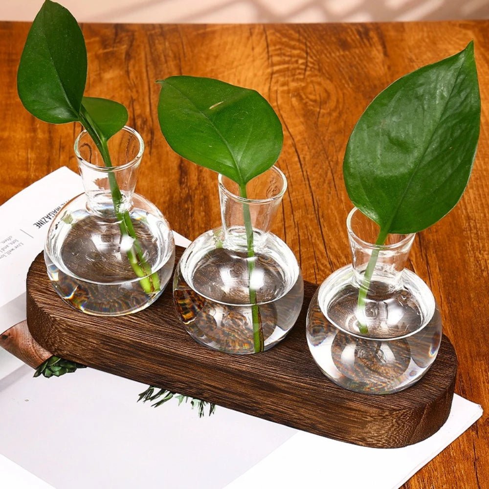 Glass Plant Terrarium with Wooden Tray – Hydroponic Propagation Vase Set - The Uplift Shop