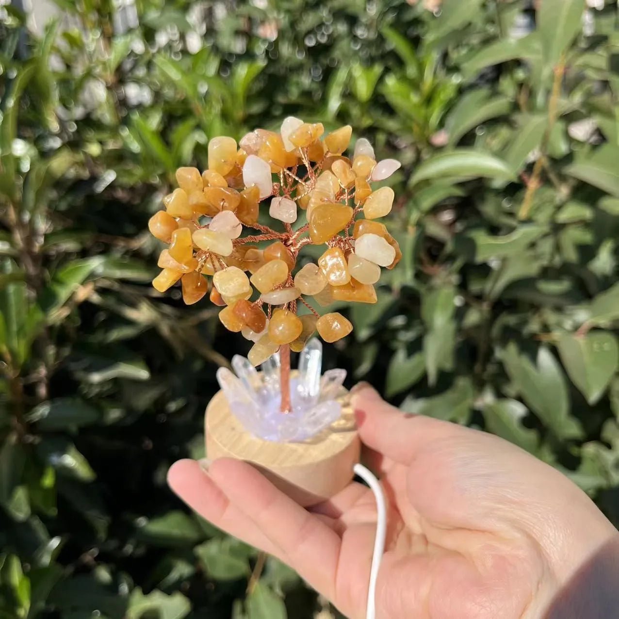 Crystal Money Tree with LED Base – Feng Shui Wealth & Birthday Gift - The Uplift Shop
