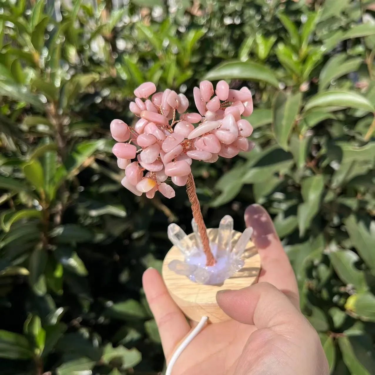 Crystal Money Tree with LED Base – Feng Shui Wealth & Birthday Gift - The Uplift Shop