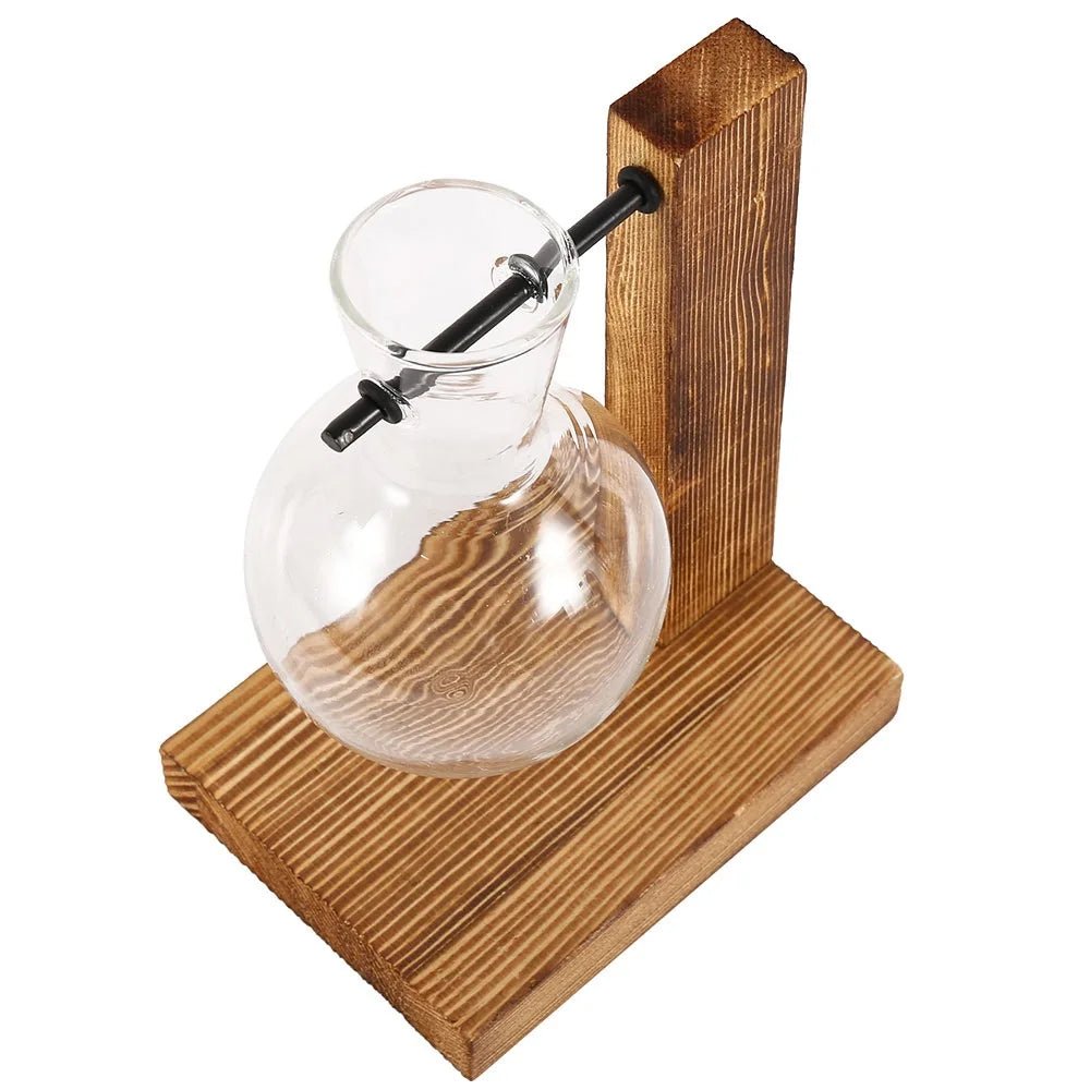 Glass Hydroponic Planter with Wooden Stand – Propagation Vase Set - The Uplift Shop