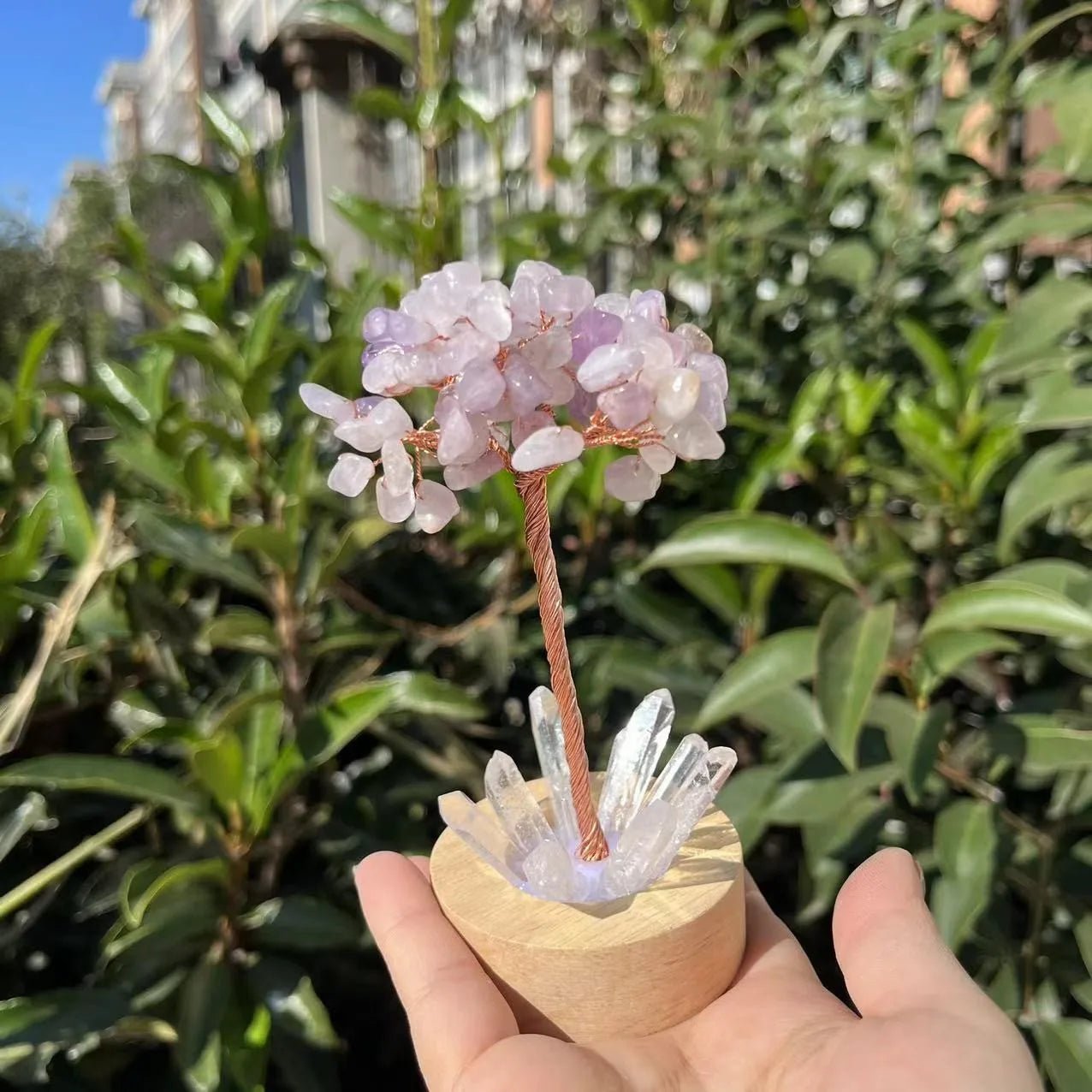 Crystal Money Tree with LED Base – Feng Shui Wealth & Birthday Gift - The Uplift Shop