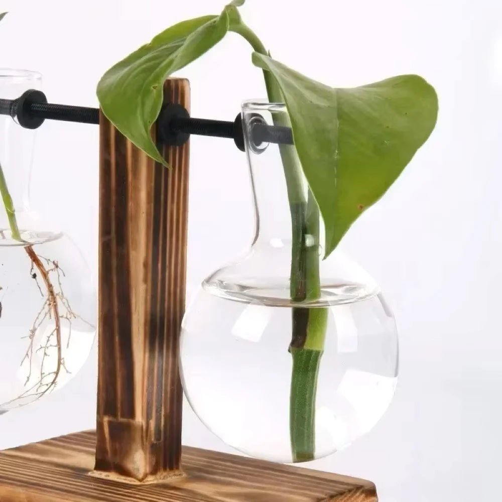 Glass Hydroponic Planter with Wooden Stand – Propagation Vase Set - The Uplift Shop