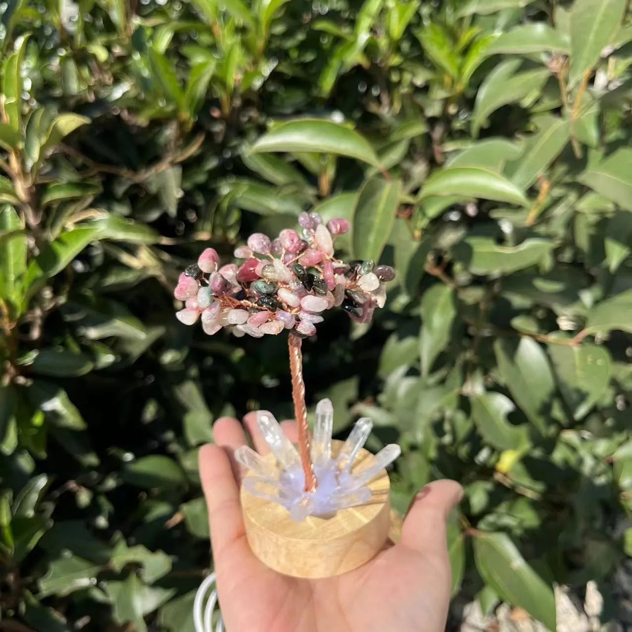 Crystal Money Tree with LED Base – Feng Shui Wealth & Birthday Gift - The Uplift Shop