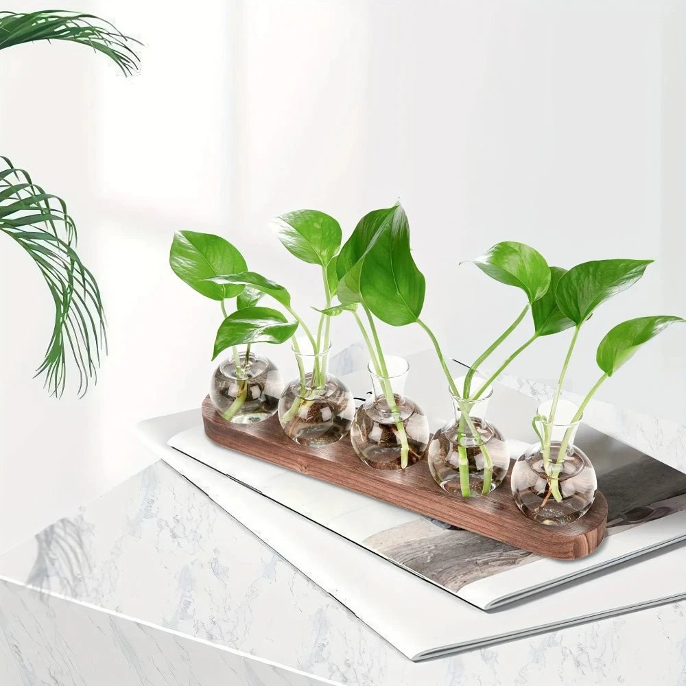 Glass Plant Terrarium with Wooden Tray – Hydroponic Propagation Vase Set - The Uplift Shop
