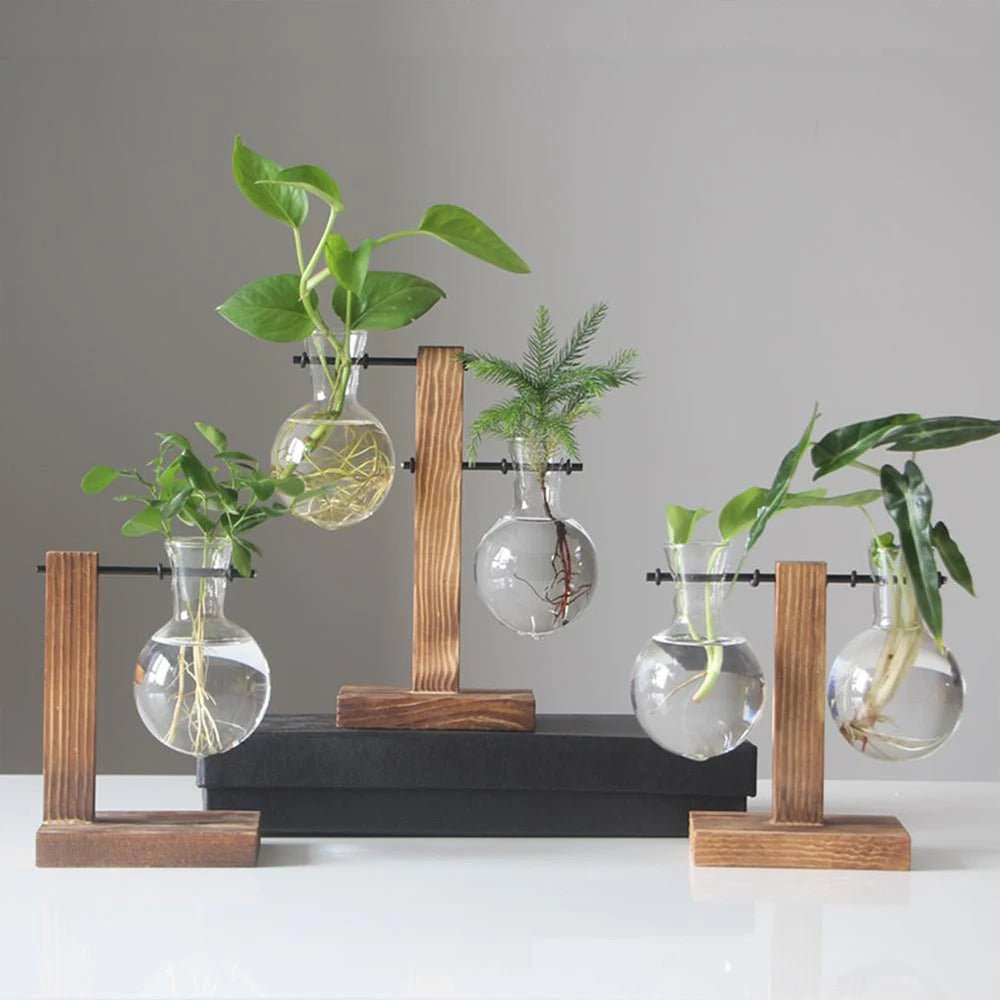 Glass Hydroponic Planter with Wooden Stand – Propagation Vase Set - The Uplift Shop