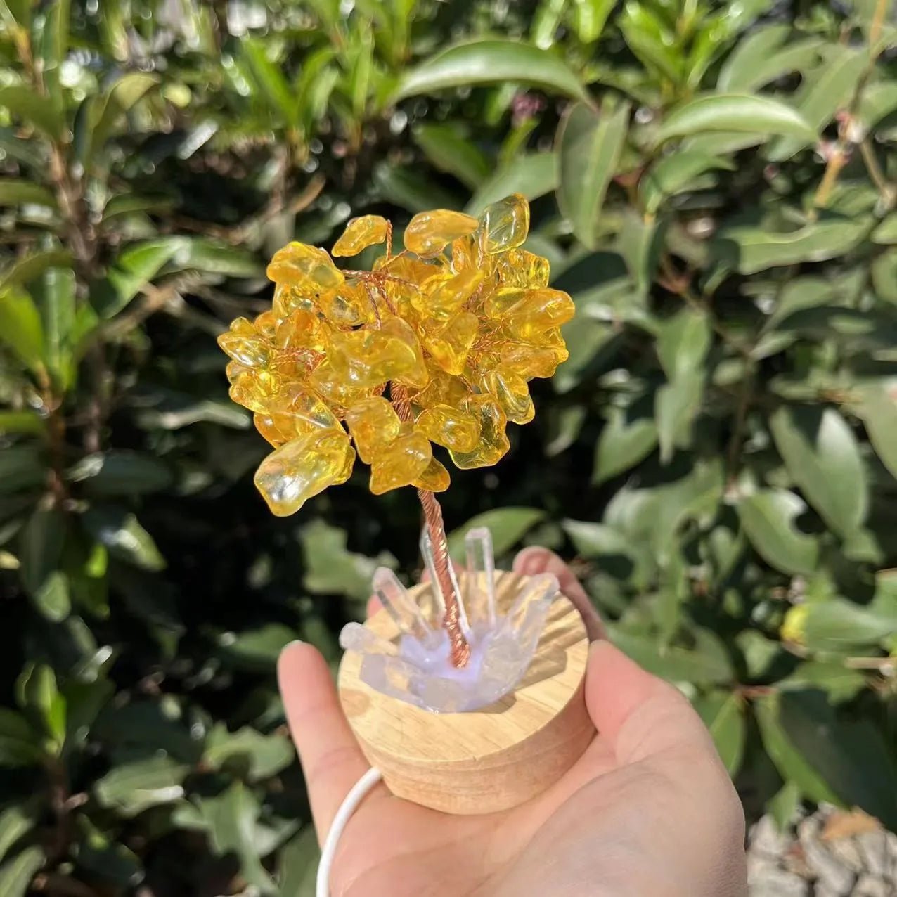 Crystal Money Tree with LED Base – Feng Shui Wealth & Birthday Gift - The Uplift Shop