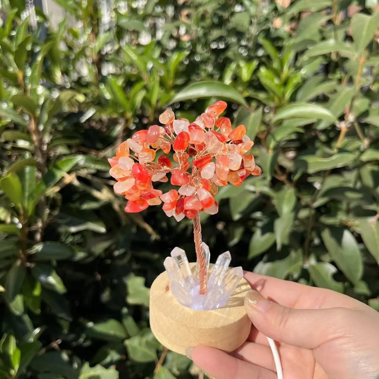 Crystal Money Tree with LED Base – Feng Shui Wealth & Birthday Gift - The Uplift Shop
