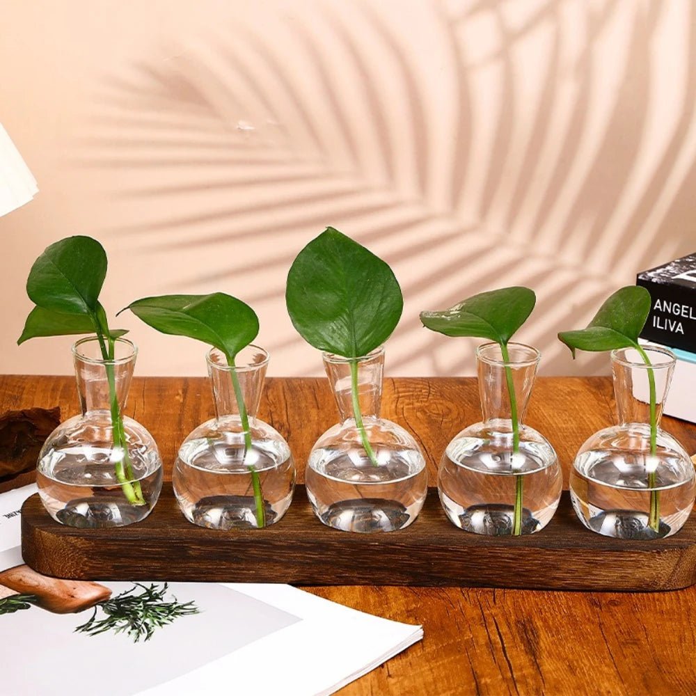 Glass Plant Terrarium with Wooden Tray – Hydroponic Propagation Vase Set - The Uplift Shop