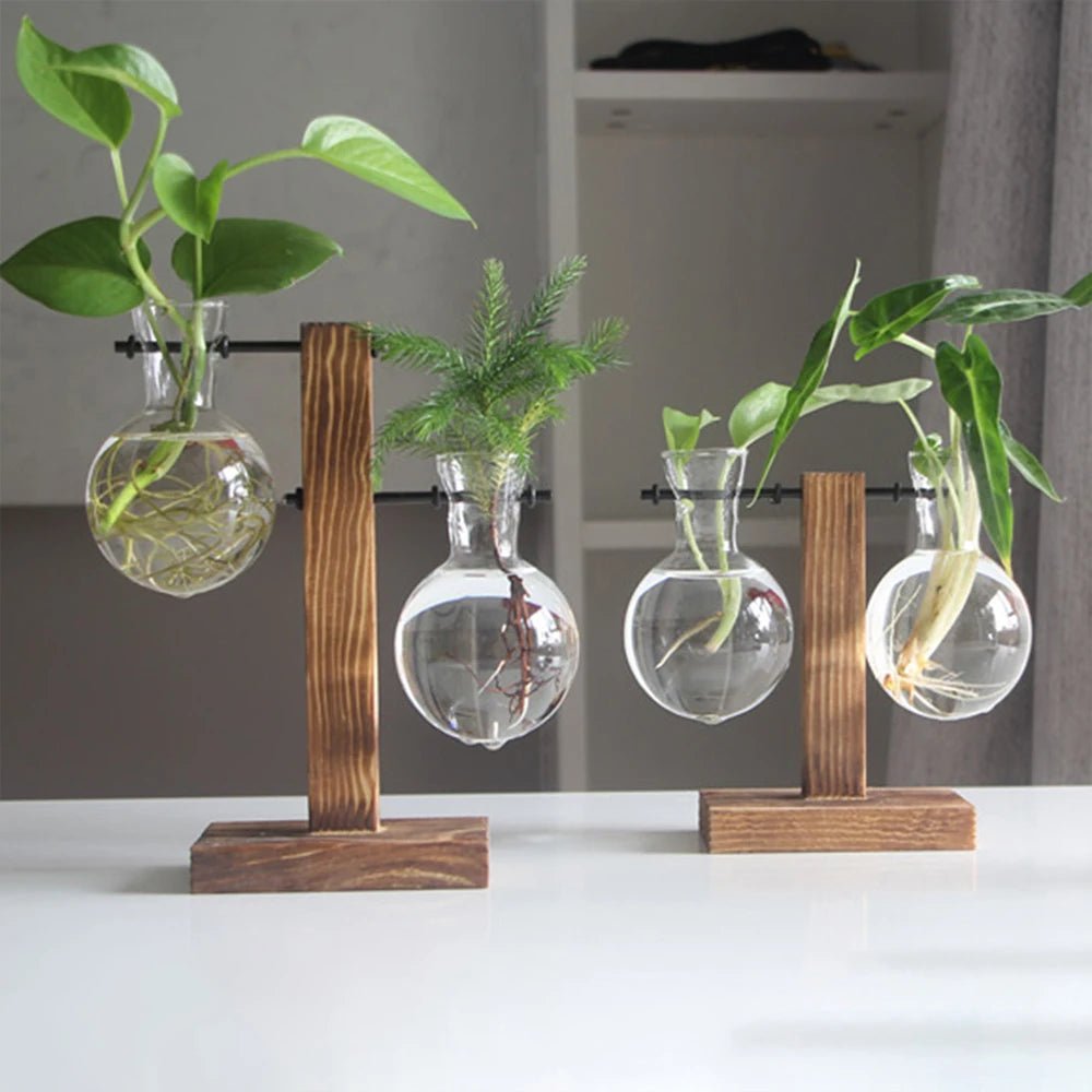 Glass Hydroponic Planter with Wooden Stand – Propagation Vase Set - The Uplift Shop