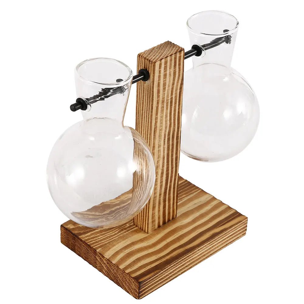 Glass Hydroponic Planter with Wooden Stand – Propagation Vase Set - The Uplift Shop